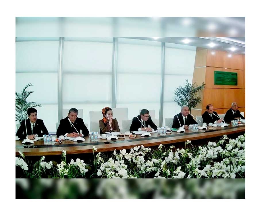 Туркменский и грузинский вузы провели встречу по укреплению сотрудничества