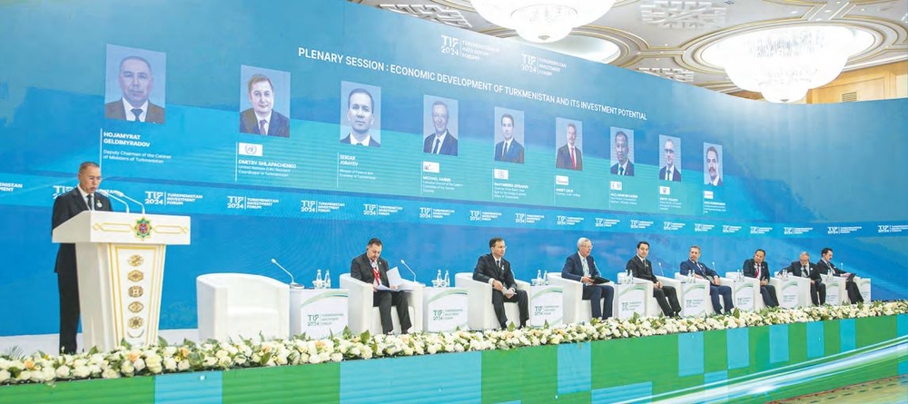 TÜRKMENISTANDA MAÝA GOÝUMLAR INNOWASION HÄSIÝETE EÝE BOLÝAR