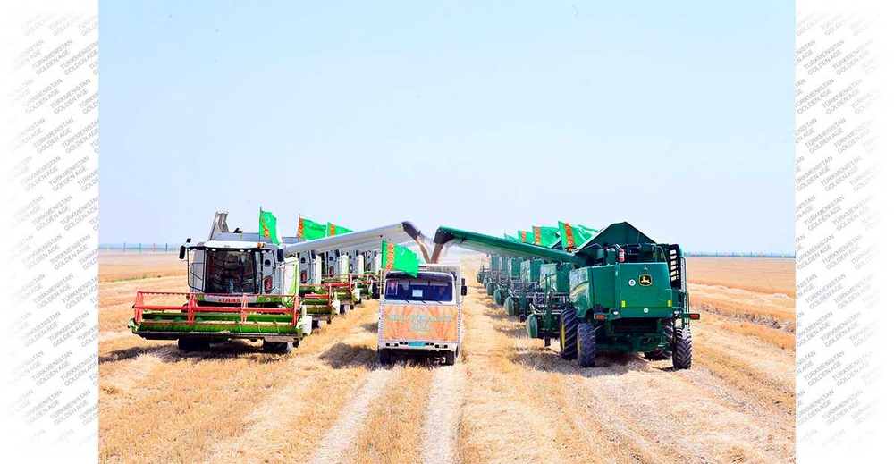 Turkmenistan started the grain harvesting campaign