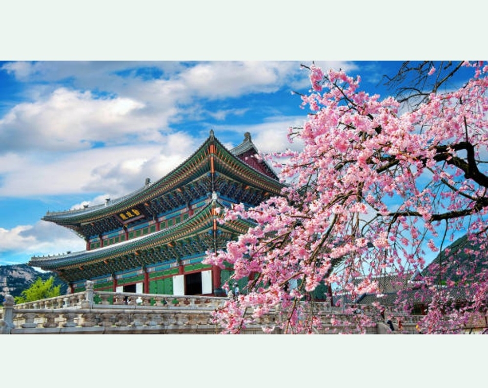 ORGANIZATION OF THE MAIN UNIVERSITY PROGRAM FOR STUDYING THE KOREAN LANGUAGE