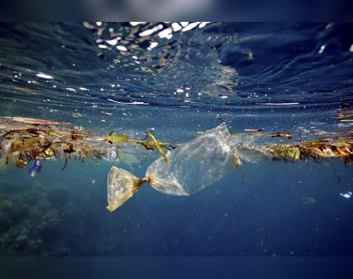 Günorta Koreýanyň alymlary suwy arassalaýan robot döretdiler