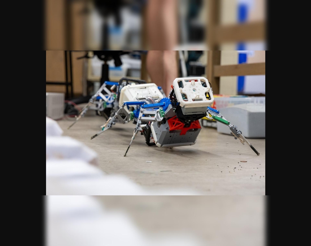 Köp aýakly robotlaryň modelleri döredildi