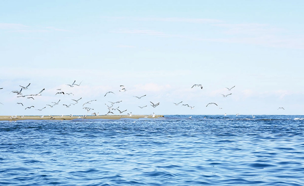 12-nji awgust – Hazar deňziniň güni