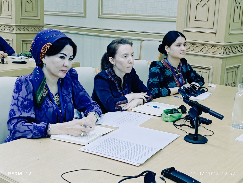 UNDP-niň ýaşlar üçin hünär taýýarlygy we iş üpjünçilik mümkinçilikleri boýunça okuw maslahaty geçirildi