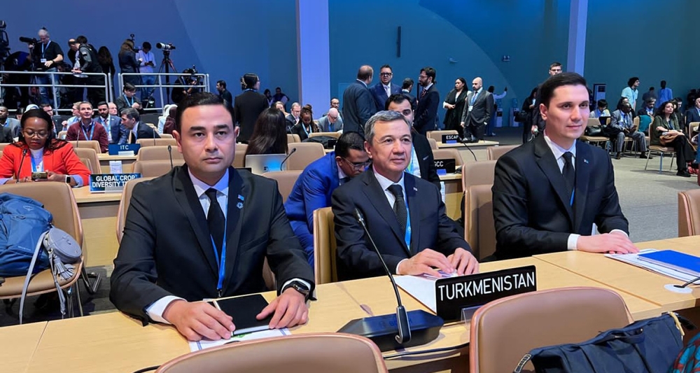 Turkmenistan participates in COP29 in Baku