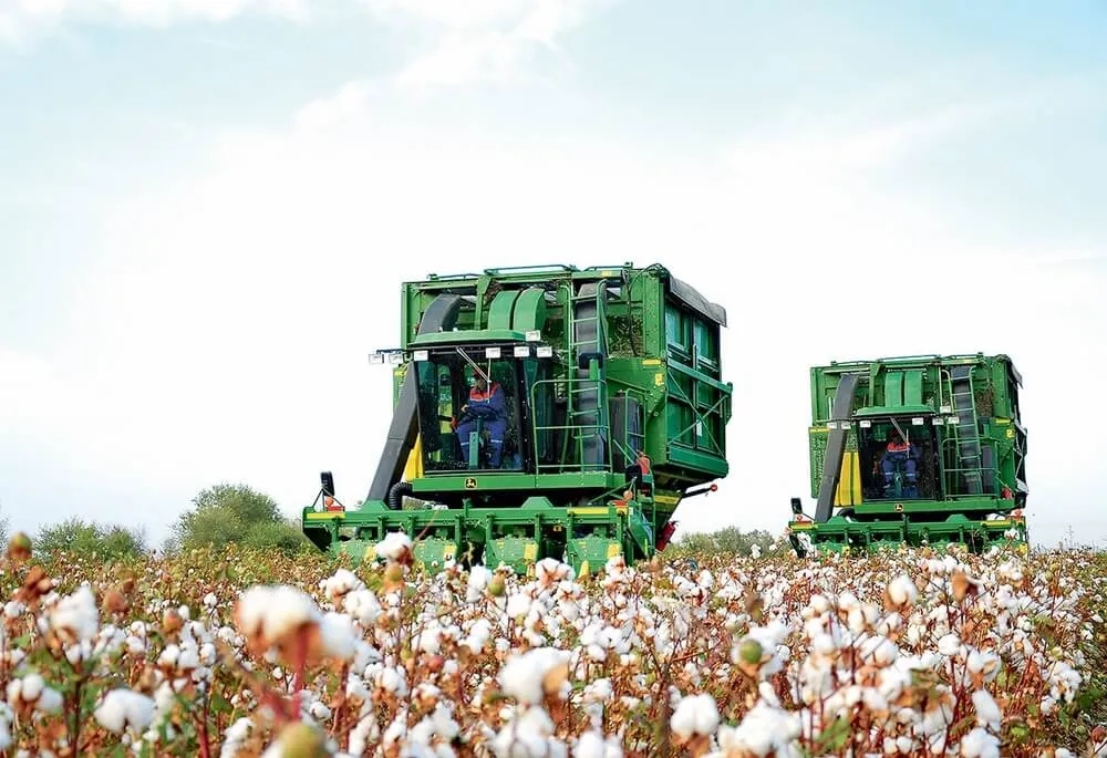 Cotton production volumes will continue to increase
