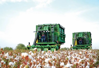 Cotton production volumes will continue to increase