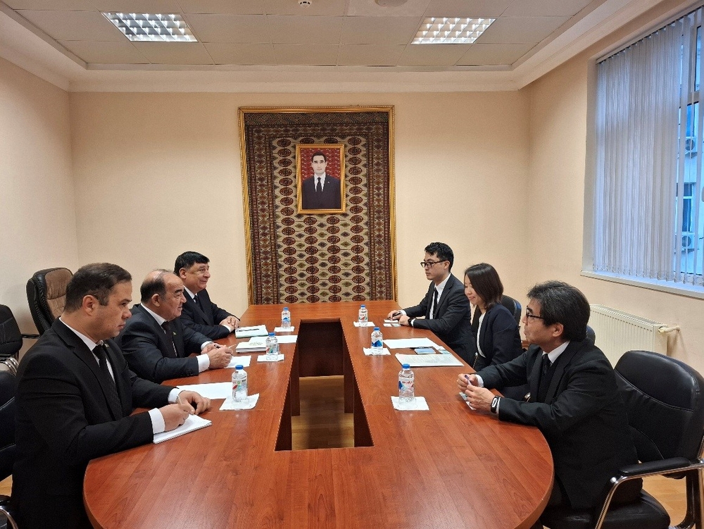 COOPERATION WITH JAPANESE EDUCATIONAL SPECIALISTS