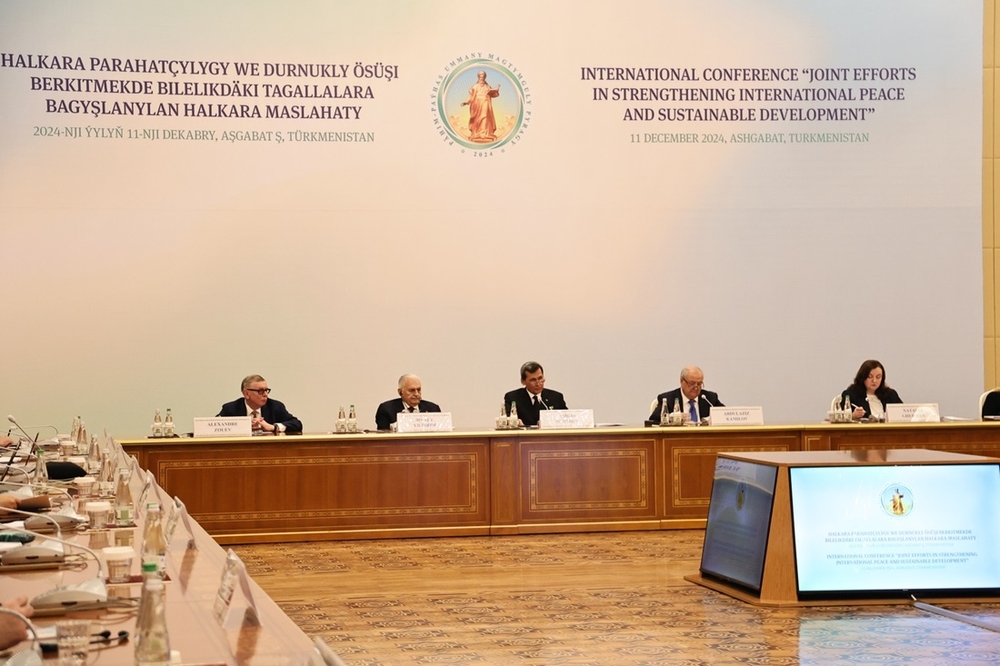 An international conference titled "Joint Efforts to Strengthen International Peace and Sustainable Development" was held
