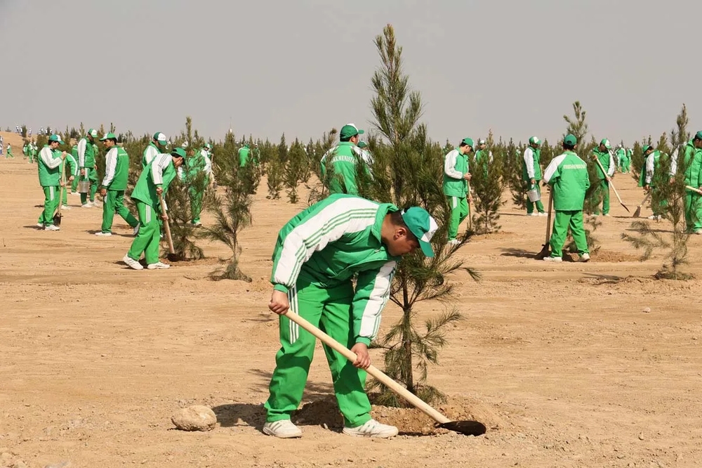 In our country, a nationwide tree planting campaign will be held