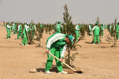 In our country, a nationwide tree planting campaign will be held