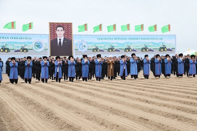 The Start of Cotton Sowing in Our Country