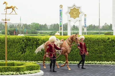 In the city of Arkadag, an international beauty contest of Akhal-Teke horses will be held, dedicated to the National Holiday of the Turkmen Horse