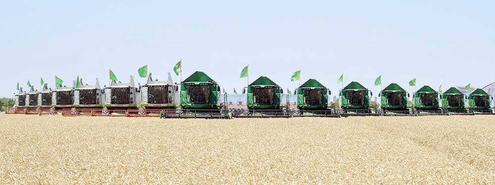 Turkmenistan Launches 2025 Wheat Harvest Season