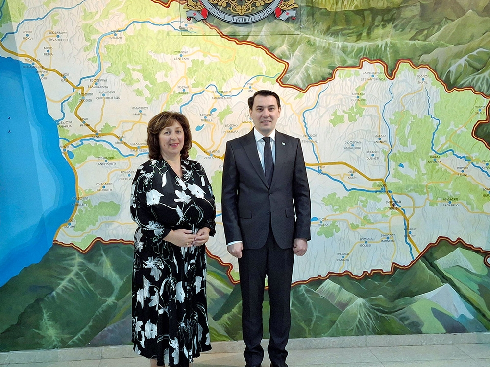 Turkmenistan and Georgia discussed the development of cooperation in the field of education