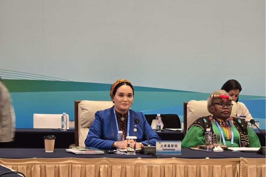 Turkmenistan delegate spoke at the 2025 Global Women's Summit in Beijing
