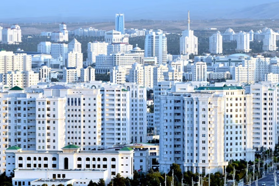 HYY we ÖU-nyň talyplary Kamerundaky uniwersitetiň professory bilen BMG-niň alyp barýan işini seljerdiler