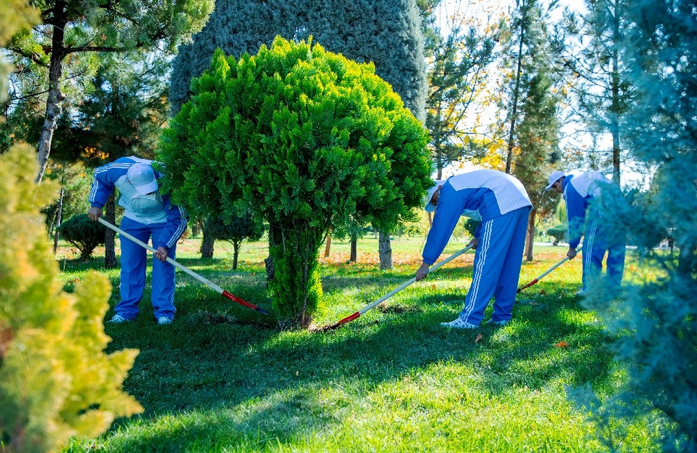 В рамках осенней всенародной акции по посадке деревьев, были высажены саженцы деревьев, а также проведены работы по уходу за деревьями и экологическому благоустройству