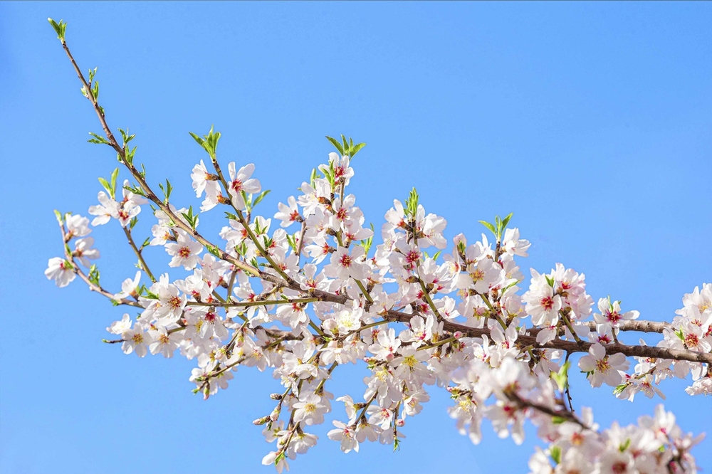 Mekdep okuwçylarynyň arasyndaky ekologiýa bäsleşiginiň birinji tapgyry jemlendi