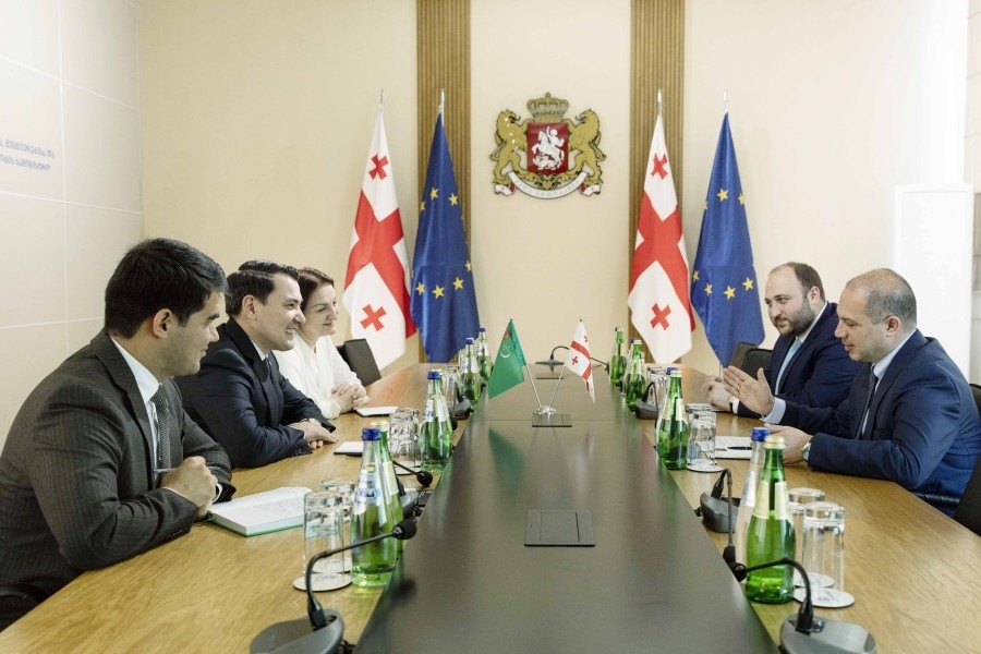 Türkmenistan we Gruziýa akademiki we ýaşlar hyzmatdaşlygynyň geljegini ara alyp maslahatlaşdy