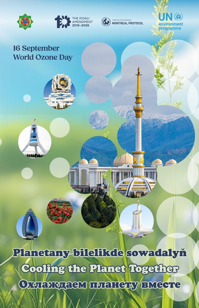 Essay contest on the occasion of International Day for the Preservation of the Ozone Layer!