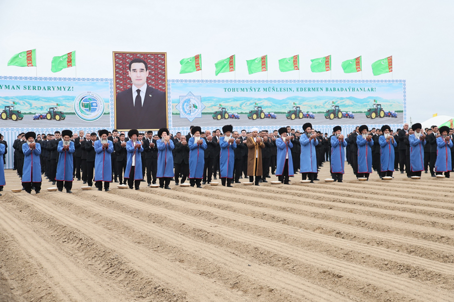 The Start of Cotton Sowing in Our Country